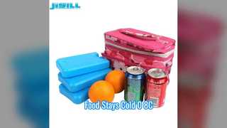 Túi đá 600ml giữ lạnh thực phẩm 0-8C