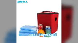 Giữ thực phẩm Đá lạnh Gạch làm mát tái sử dụng