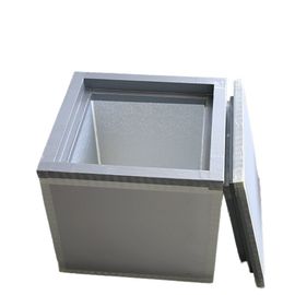 -20C tấm cách nhiệt nhiệt với 42L dung lượng cho vắc-xin máu y tế và thực phẩm cho thực phẩm đông lạnh